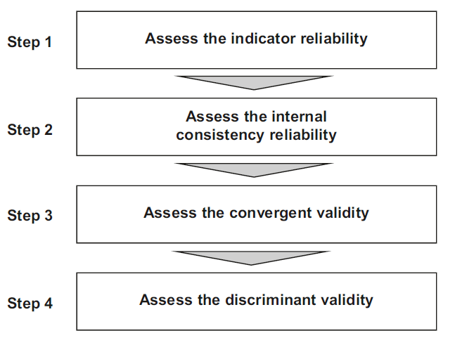 Steps in Measurement Model Assessment